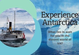 Experience Antarctica