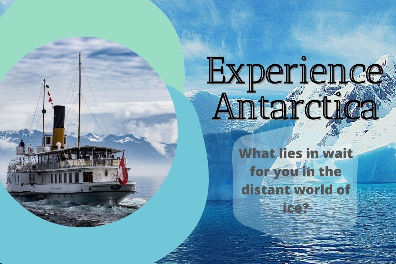 Experience Antarctica